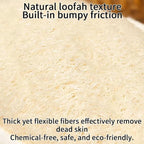 Natural Loofah Loofah Sponge loofahs - Image 4