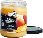 Mango Odor Eliminating Highly Fragranced Candle - Image 2