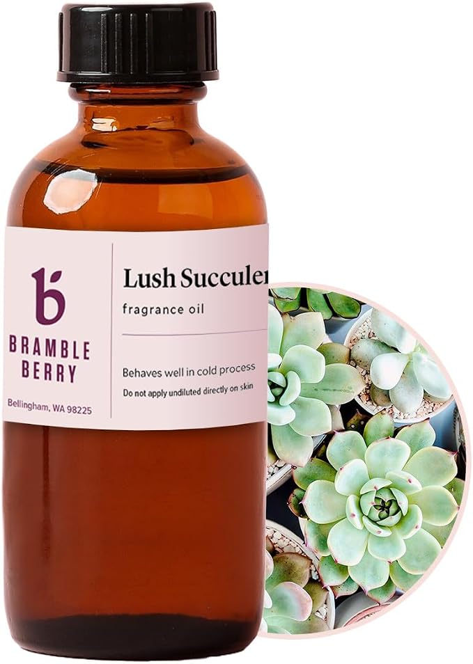 Bramble Berry Lush Succulent Fragrance Oil 2 oz | Fresh Green Botanical Scent by BrambleBerry