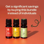 Plant Therapy Wellness Essential Oil Set, Pure Essential Oil Blends: Germ - Image 6