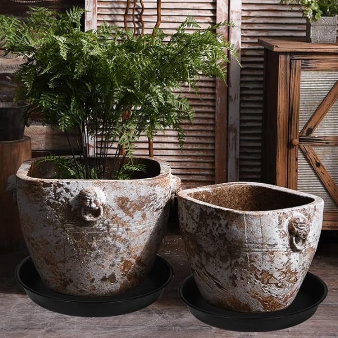 2 Pack of Bird Bath Bowl 18 19 inch, 2.7" Depth, 20 21 22 23 24 25 26 inch - Image 6