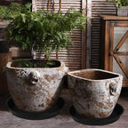 2 Pack of Bird Bath Bowl 18 19 inch, 2.7" Depth, 20 21 22 23 24 25 26 inch - Image 6