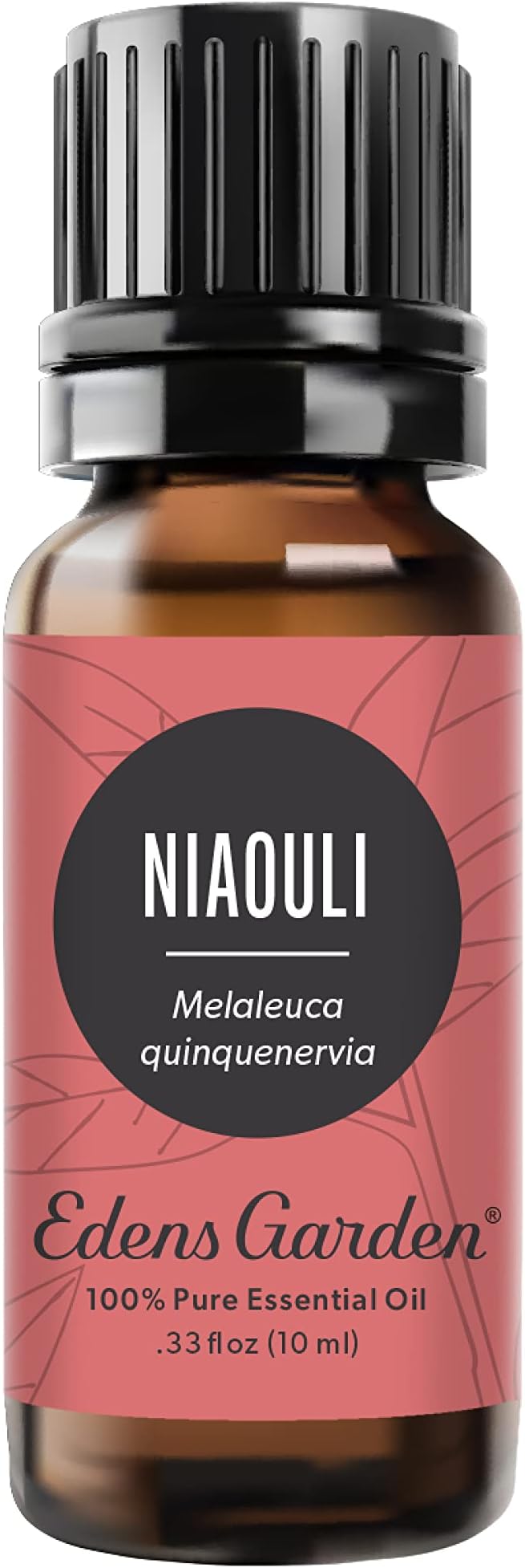 Edens Garden Niaouli Essential Oil- 100% Pure Premium Grade, Therapeutic by EdensGarden