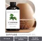 Brooklyn Botany Camphor Essential Oil - Image 5