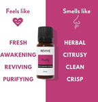 Purify Essential Oil Blend by Revive Essential Oils - Image 4