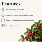 Young Living Wintergreen Premium Essential Oil | 15ml | Refreshing & Uplifting - Image 3