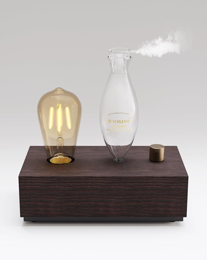 Glass Essential Oil Diffuser by JOOSING