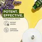 Gya Labs USDA Certified Organic Lavender Essential Oil - Image 5