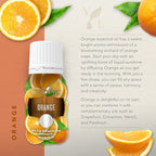 Young Living Orange Essential Oil, 15 ml – Bright Citrus Aroma - Image 2