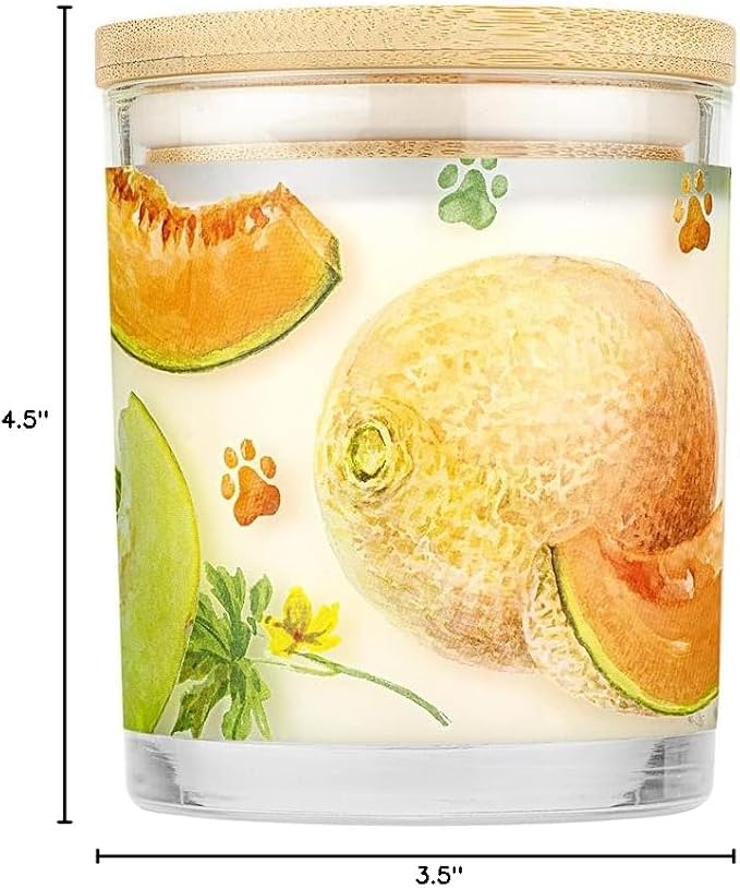 Pet House Candles, Natural Plant-Based, Long Lasting Candles - Image 10