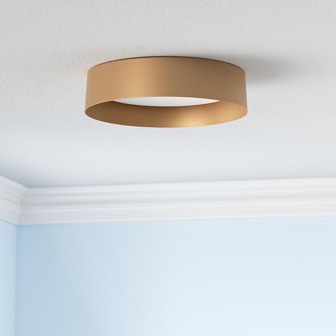 Bargeni Flush Mount Ceiling Light, 16.5 inch LED Ceiling Light Fixture - Image 2