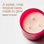Bath & Body Works Cactus Blossom 3-Wick Candle - Image 2