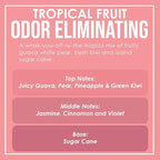 Tropical Fruit Two Pack Odor Eliminating Highly Fragranced Candle - Image 4