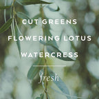 Library of Flowers Willow & Water Bubble Bath, Cut Greens, Flowering Lotus & - Image 4
