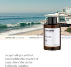 Scentify Malibu Aroma Oil Refill Scent - Image 4