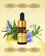 Rosemary Hair Growth Oil Set - Image 2