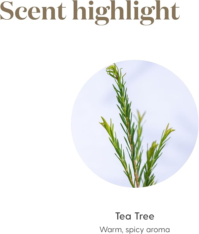 Tea Tree Essential 5ml Oil by Young Living Essential Oils - Image 5