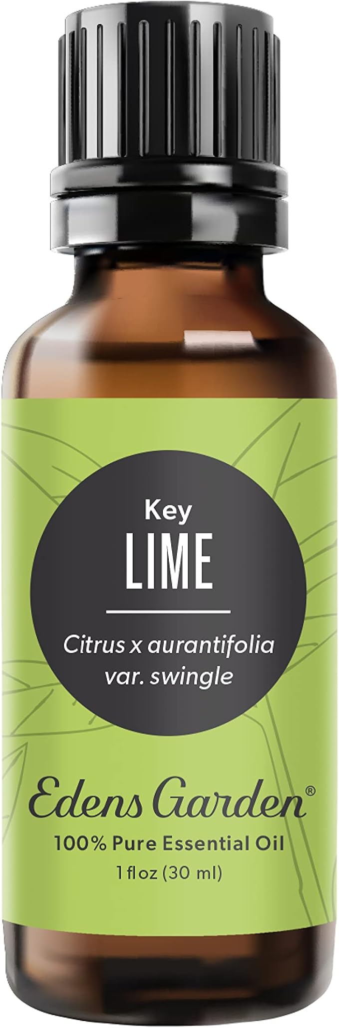 Edens Garden Lime- Key Essential Oil- 100% Pure Premium Grade, Therapeutic by EdensGarden