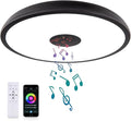 Black Smart Waterproof LED Flush Mount Ceiling Light Fixture, by AlwaysOnAlwaysWarm