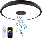 Black Smart Waterproof LED Flush Mount Ceiling Light Fixture, by AlwaysOnAlwaysWarm