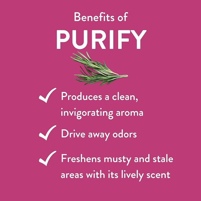 Purify Essential Oil Blend 30 mL by Revive Essential Oils - Image 3