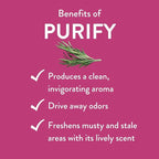 Purify Essential Oil Blend 30 mL by Revive Essential Oils - Image 3