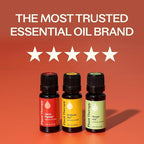 Plant Therapy Wellness Essential Oil Set, Pure Essential Oil Blends: Germ - Image 3