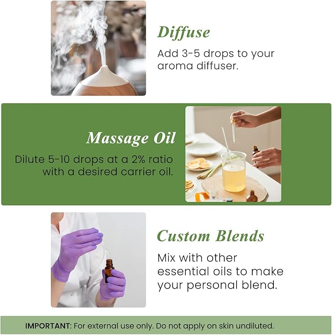 Handcraft Blends Rosemary Essential Oil – Huge 4 Fl Oz – 100% Pure and Natural - Image 6