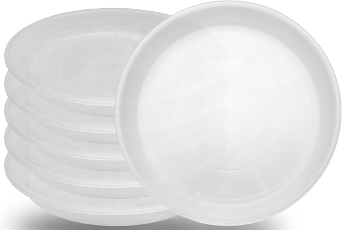 6 Pack of 12 inch Clear Plant Saucer Plant Tray, Plastic Plant Saucer 12 inch by Unknown