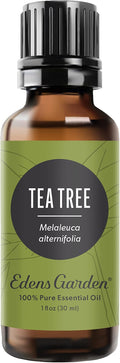 Edens Garden Tea Tree Essential Oil- 100% Pure Premium Grade, Therapeutic by EdensGarden