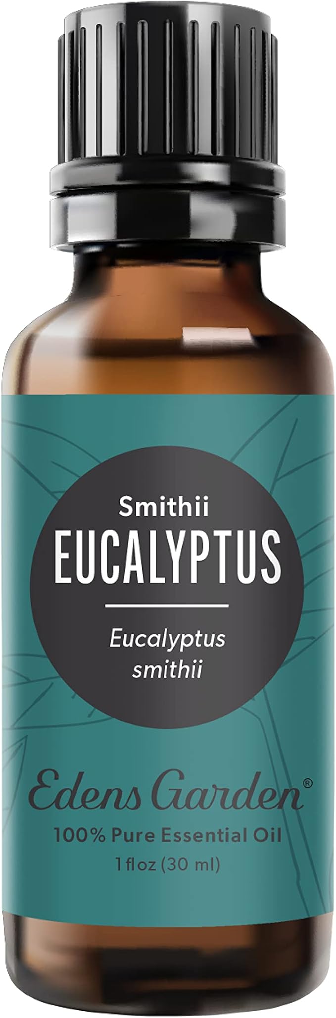 Edens Garden Eucalyptus- Smithii Essential Oil- 100% Pure Premium Grade by EdensGarden