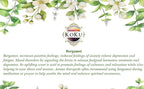 Bergamot Air Freshener - Image 3