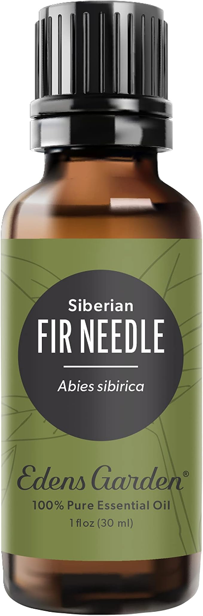 Edens Garden Fir Needle- Siberian Essential Oil- 100% Pure Premium Grade by EdensGarden