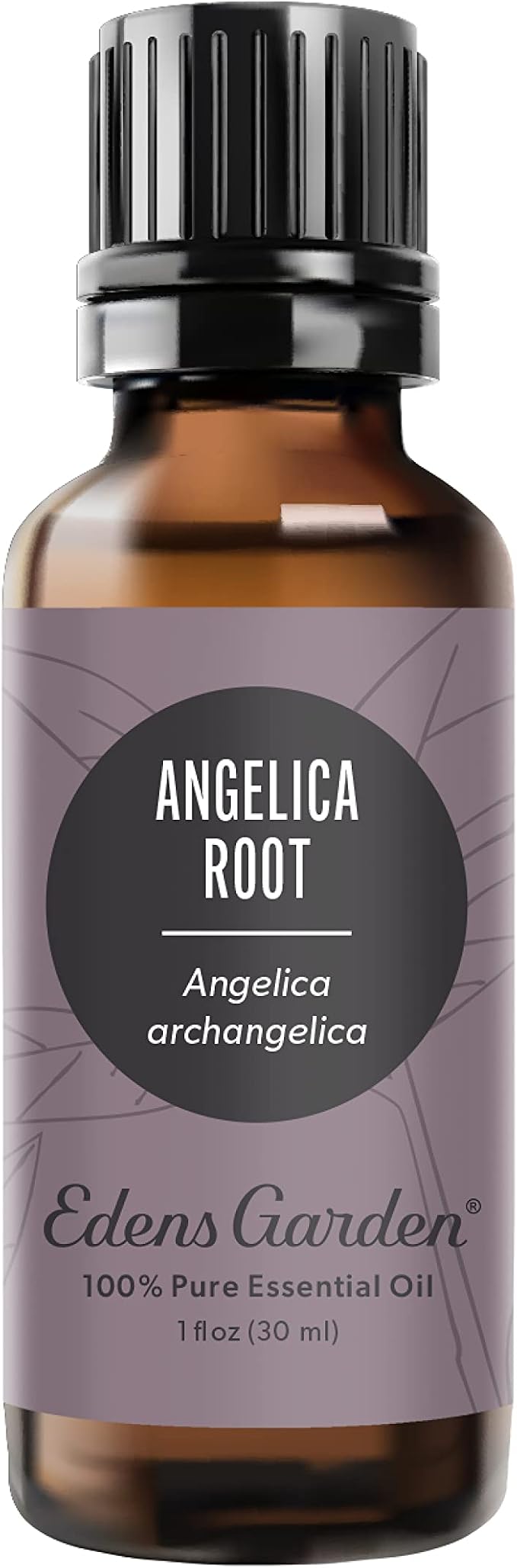 Edens Garden Angelica Root Essential Oil- 100% Pure Premium Grade, Therapeutic by EdensGarden