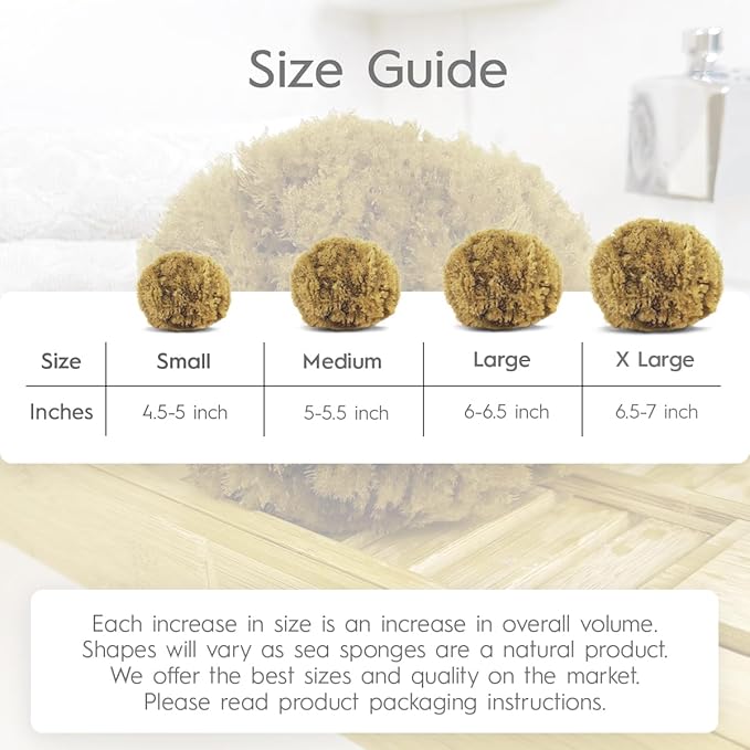 Naroa Exfoliating Natural Sponge - Image 5