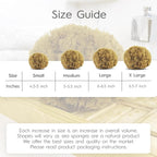 Naroa Exfoliating Natural Sponge - Image 5