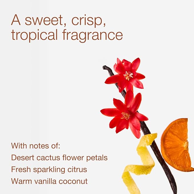 Bath & Body Works Cactus Blossom 3-Wick Candle - Image 3