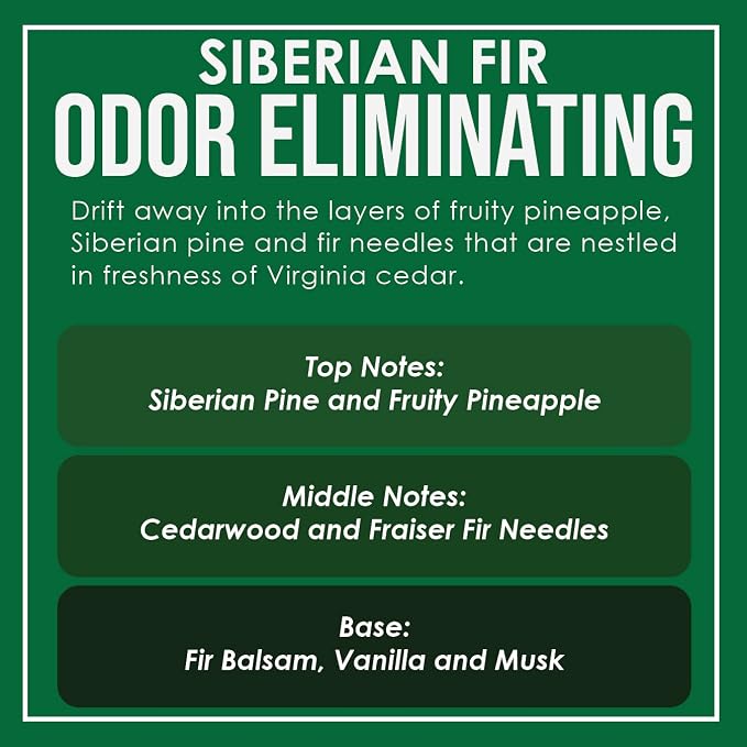 Siberian Fir Odor Eliminating Highly Fragranced Candle - Image 4