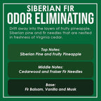 Siberian Fir Two Pack Odor Eliminating Highly Fragranced Candle - Image 4