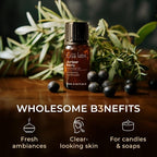 100% Pure Juniper Berry Essential Oil - Image 5