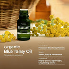 100% Pure Blue Tansy Essential Oil - Image 3