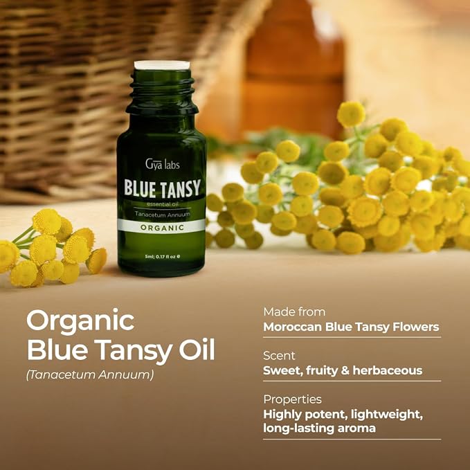 100% Pure Blue Tansy Essential Oil - Image 3