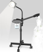 TASALON Professional Ionic Facial Steamer, 2-in-1 Face Steamer by TASALON