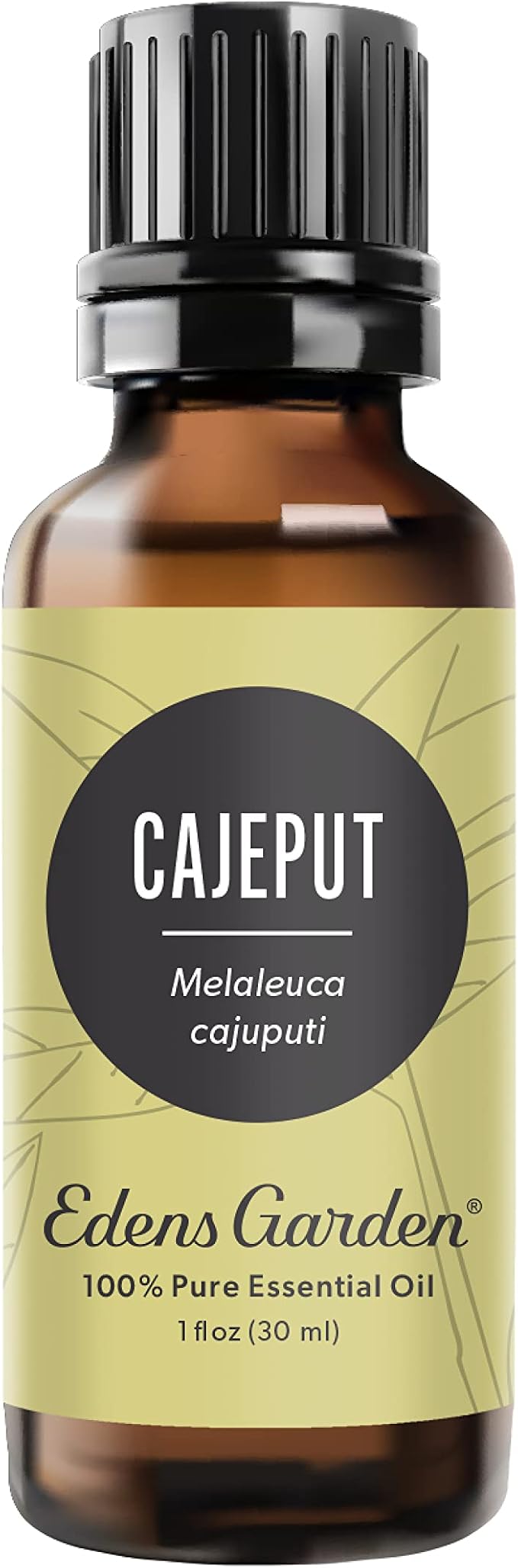 Edens Garden Cajeput Essential Oil- 100% Pure Premium Grade, Therapeutic by EdensGarden