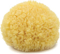 Neptune Caribbean Sea Sponge, Hand Processed, Natural & Eco-Friendly Bath Sponge by Unknown