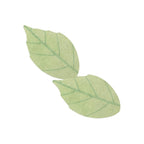 Pacifica Leave Pretty Eye Patches 1 Pair - Image 5