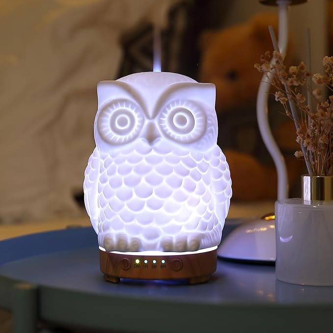 Owl Ceramic Aromatherapy Diffuser INRORANS 160ml Stone ultrasonic Cool Mist by inrorans