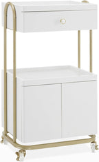 BarberPub Salon Trolley with Universal Wheels, Storage Rolling Cart with Drawer by BarberPub