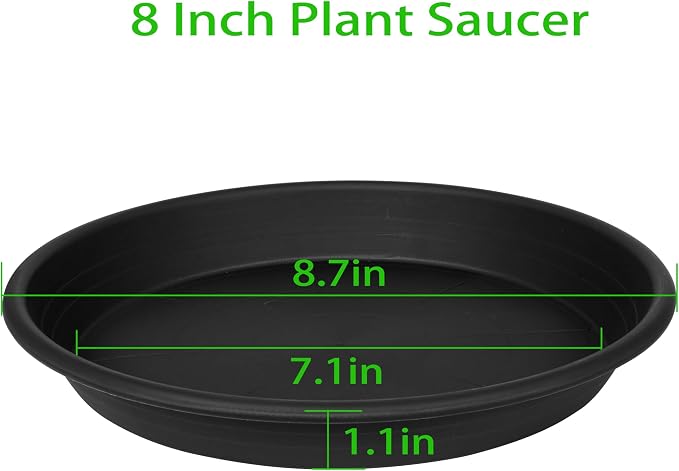 6 Pack Plant Saucer 8 inch, Heavy Duty Plastic Plant Water Tray, Planter Saucers - Image 2