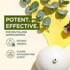 100% Pure Eucalyptus Essential Oil - Image 3